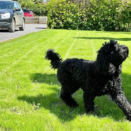 Rye Court - Stunning In With Parking * هلمسلي