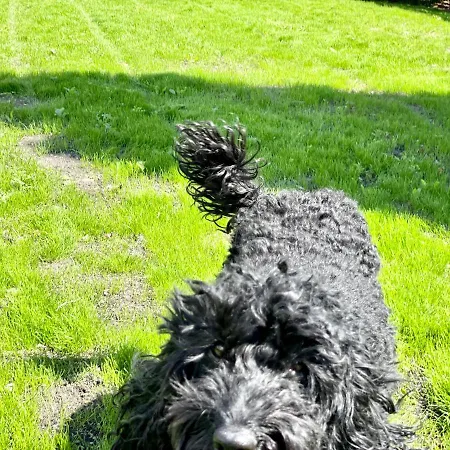 Rye Court - Stunning In With Parking بيت للعطل هلمسلي