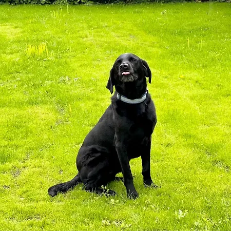 Rye Court - Stunning In With Parking בית נופש הלמסלי